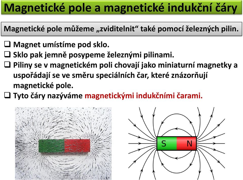 Piliny se v magnetickém poli chovají jako miniaturní magnetky a uspořádají se ve směru