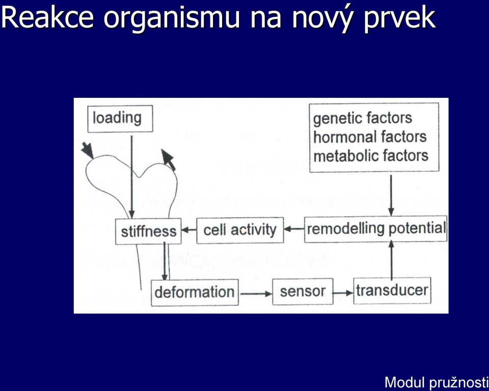 na nový