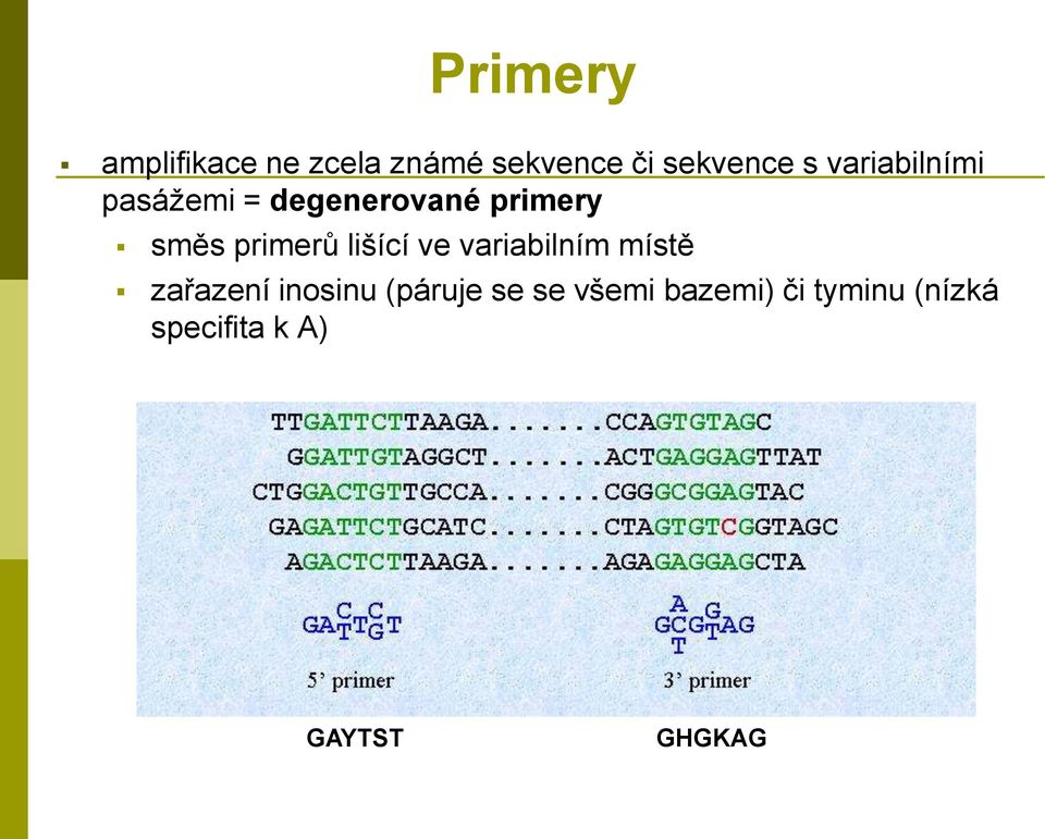 lišící ve variabilním místě zařazení inosinu (páruje se se