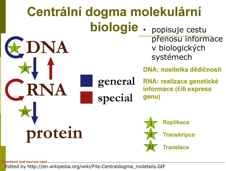 informace (čili exprese genu) III I II III Replikace Transkripce Translace