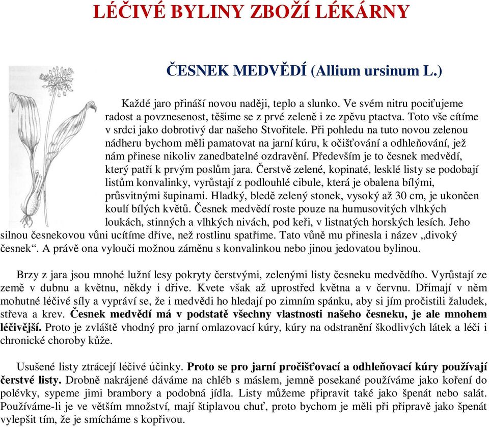 Při pohledu na tuto novou zelenou nádheru bychom měli pamatovat na jarní kúru, k očišťování a odhleňování, jež nám přinese nikoliv zanedbatelné ozdravění.