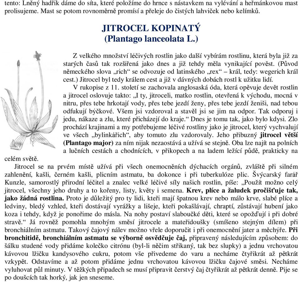 (Původ německého slova rich se odvozuje od latinského rex král, tedy: wegerich král cest.) Jitrocel byl tedy králem cest a již v dávných dobách rostl k užitku lidí. V rukopise z 11.