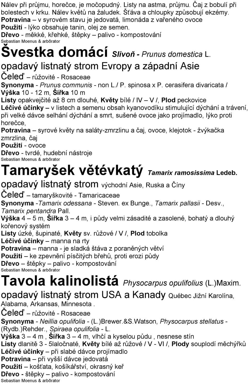 Dřevo - měkké, křehké, štěpky palivo - kompostování Švestka domácí Slivoň - Prunus domestica L. opadavý listnatý strom Evropy a západní Asie Synonyma - Prunus communis - non L./ P. spinosa x P.