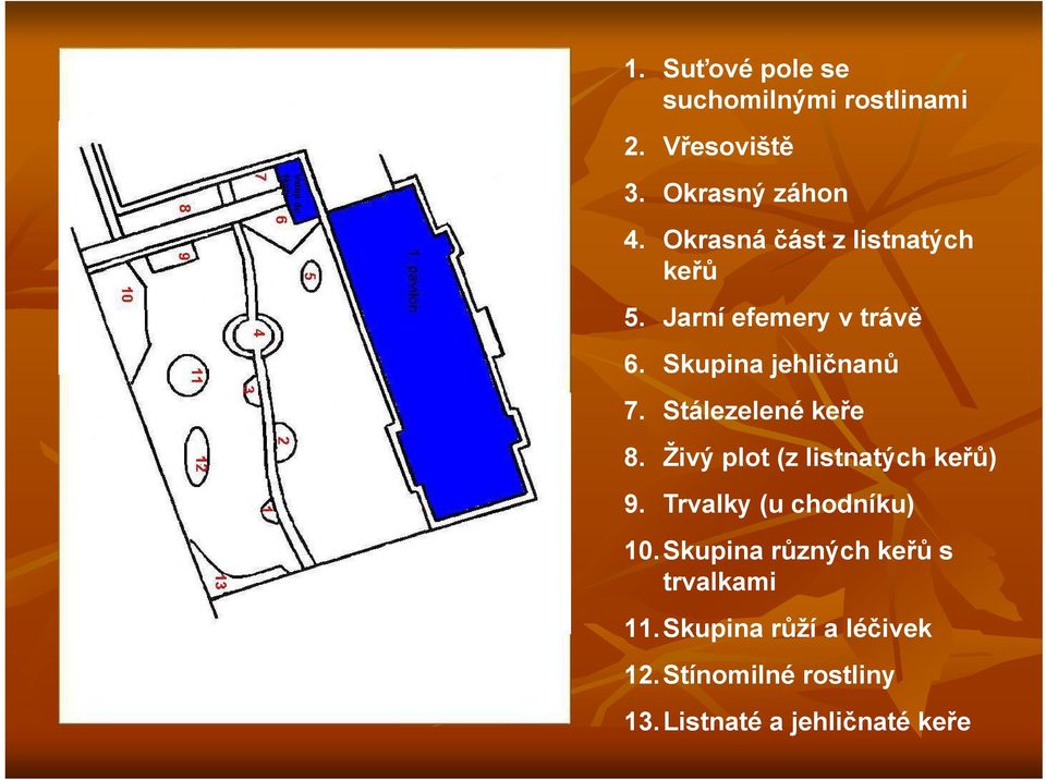 Stálezelené keře 8. Živý plot (z listnatých keřů) 9. Trvalky (u chodníku) 10.