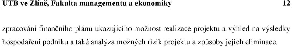 realizace projektu a výhled na výsledky hospodaření