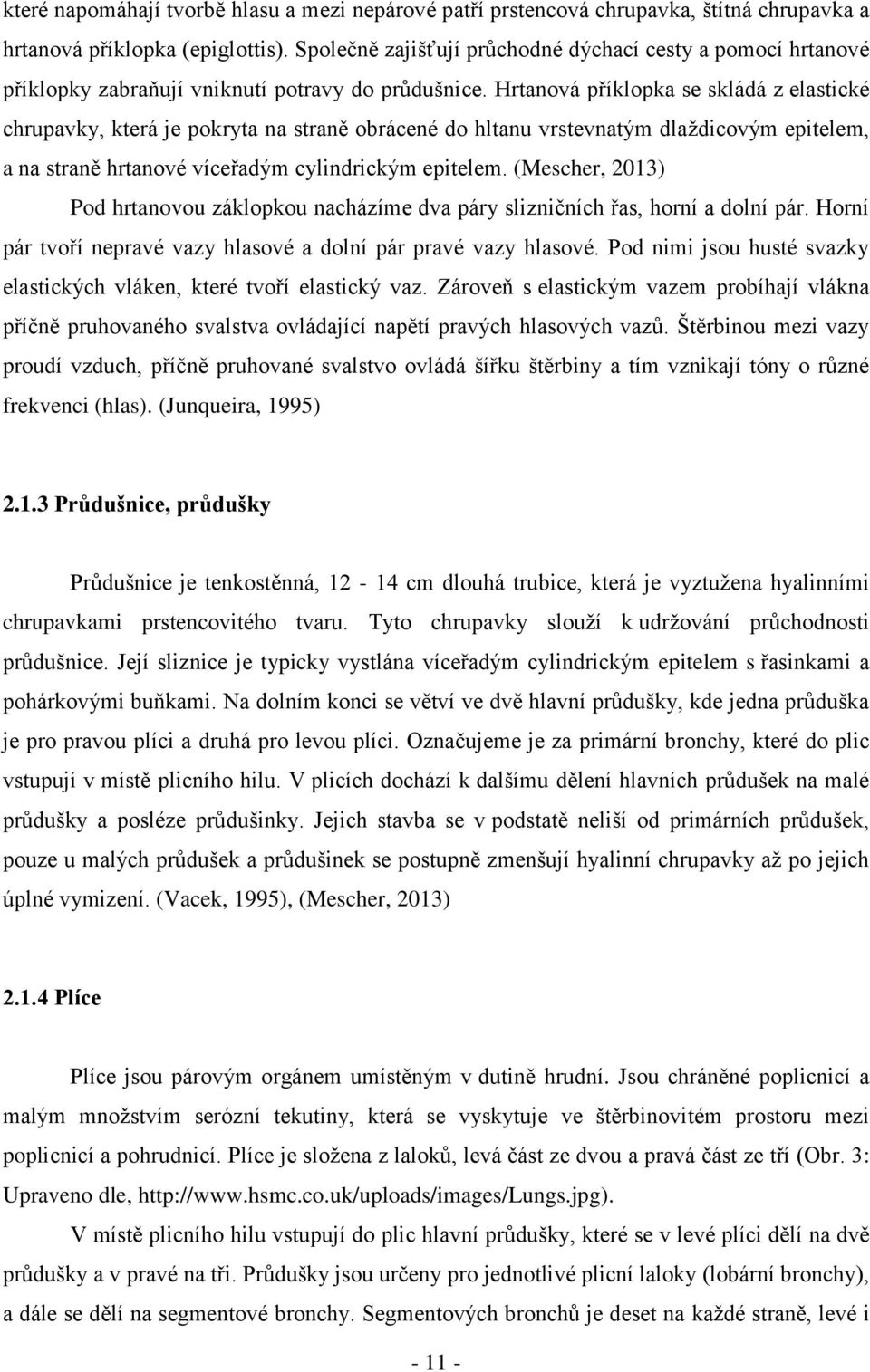 Hrtanová příklopka se skládá z elastické chrupavky, která je pokryta na straně obrácené do hltanu vrstevnatým dlaždicovým epitelem, a na straně hrtanové víceřadým cylindrickým epitelem.