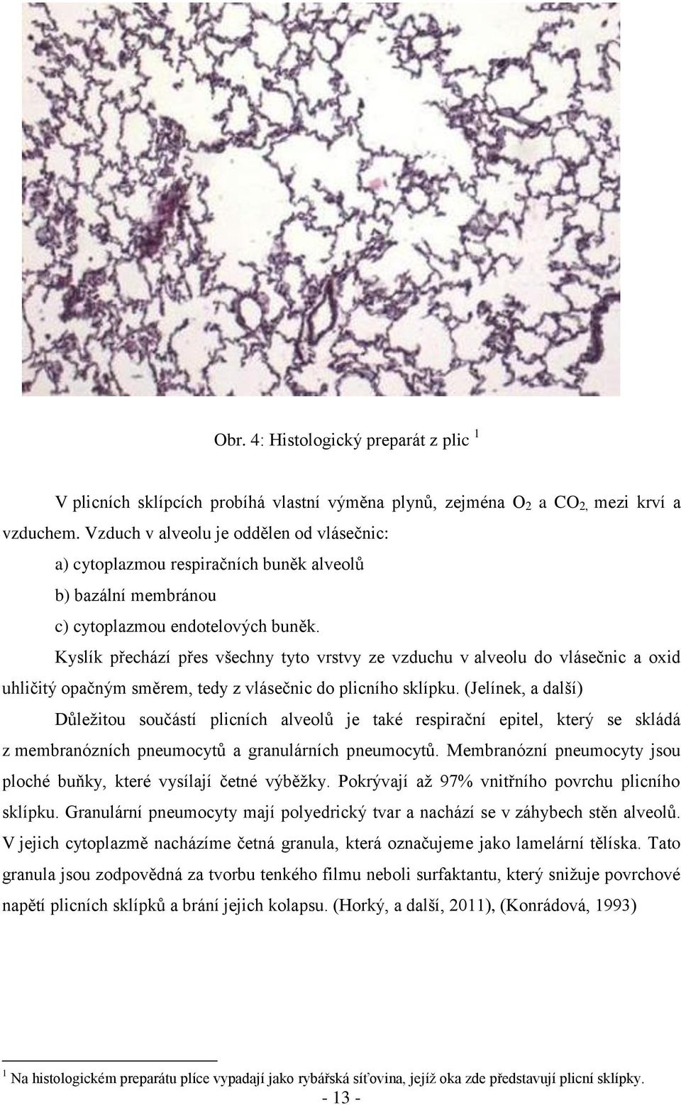 Kyslík přechází přes všechny tyto vrstvy ze vzduchu v alveolu do vlásečnic a oxid uhličitý opačným směrem, tedy z vlásečnic do plicního sklípku.