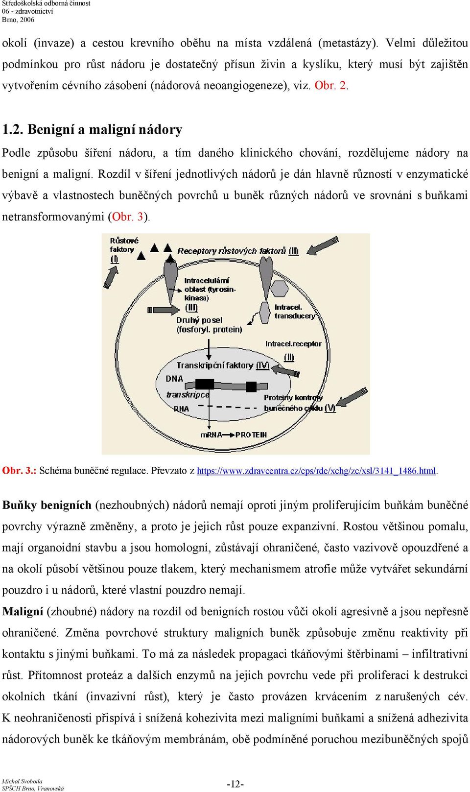 1.2. Benigní a maligní nádory Podle způsobu šíření nádoru, a tím daného klinického chování, rozdělujeme nádory na benigní a maligní.