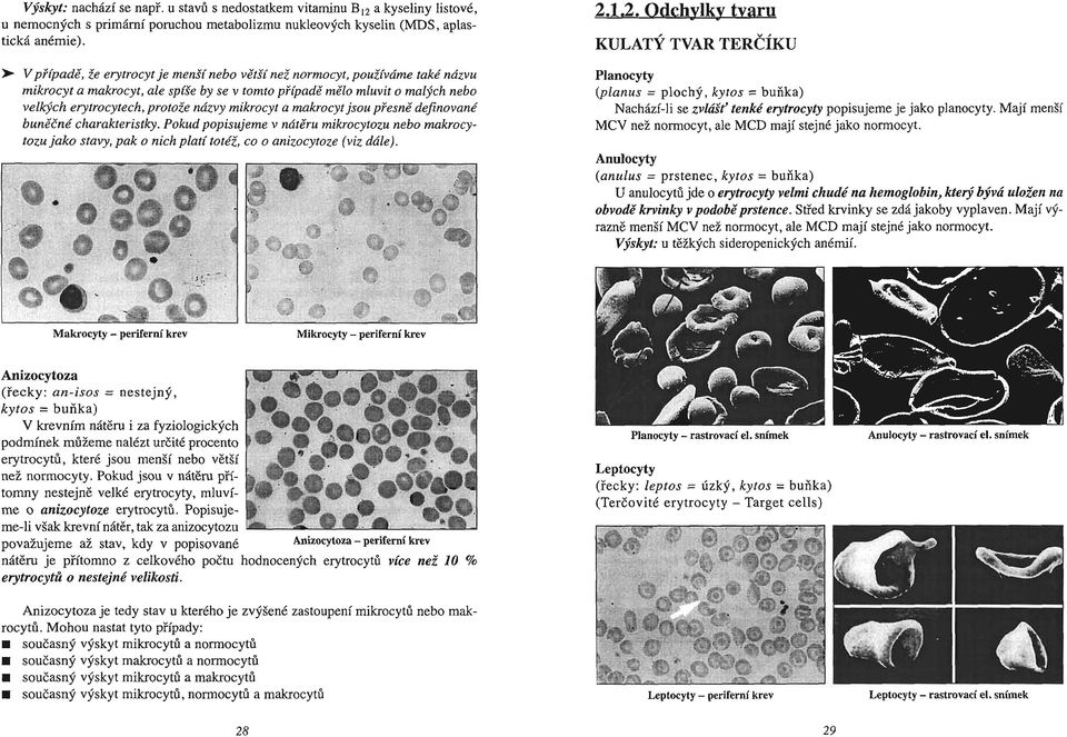 mikrocyt a makrocyt jsou přesně definované buněčné charakteristky. Pokud popisujeme v nátěru mikrocytozu nebo makrocytozu jako stavy, pak o nich platítotéž, co o anizocytoze (viz dále). 2.