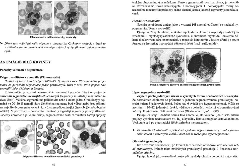 Filamentozní a nefilamentozní granulocyty ~ Dříve toto vyšetření mělo význam u diagnostiky Crohnovy nemoci, u které se v aktivním stadiu onemocnění nacházel zvýšený výskyt filam entozních granulocytů.