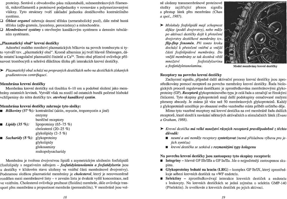 O Oblast organel zahrnuje densní tělíska (nemetabolický pool), dále méně hustá tělíska (alfa-granule, lysozómy, peroxizómy) a mitochondrie.