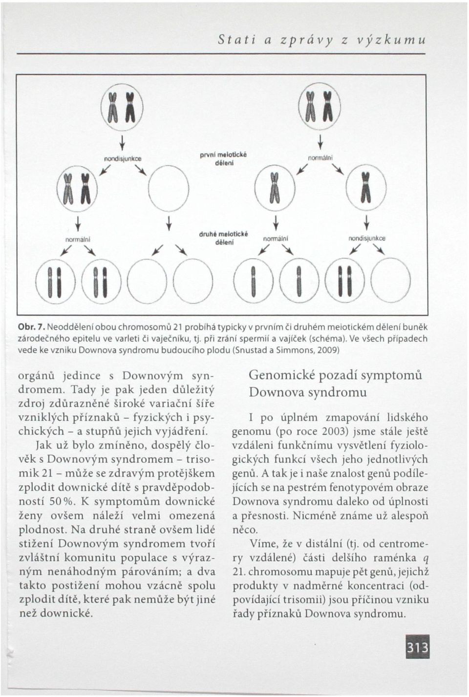 Ve viech případech vede ke vzniku Downova syndromu budoucího plodu (Snustad a Simmons, 2009) orgánů jedince s Downovým syndromem.