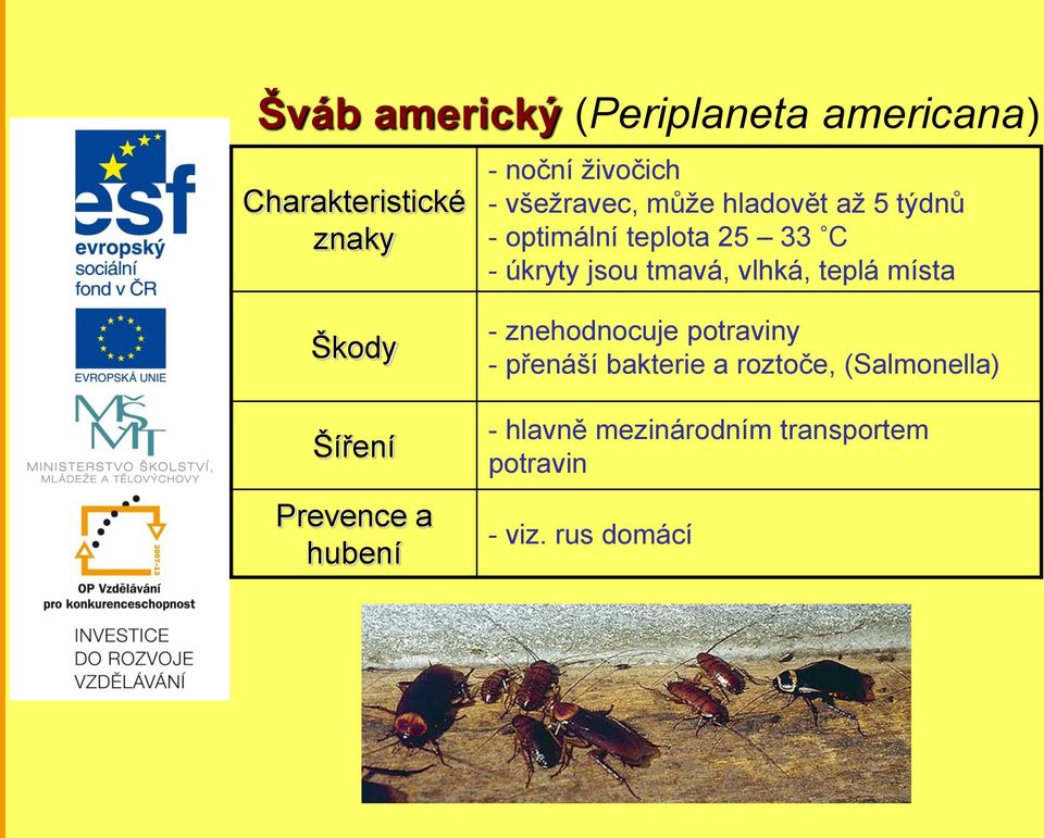 vlhká, teplá místa Škody Šíření Prevence a hubení - znehodnocuje potraviny - přenáší