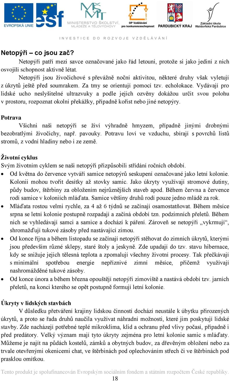 Vydávají pro lidské ucho neslyšitelné ultrazvuky a podle jejich ozvěny dokážou určit svou polohu v prostoru, rozpoznat okolní překážky, případně kořist nebo jiné netopýry.