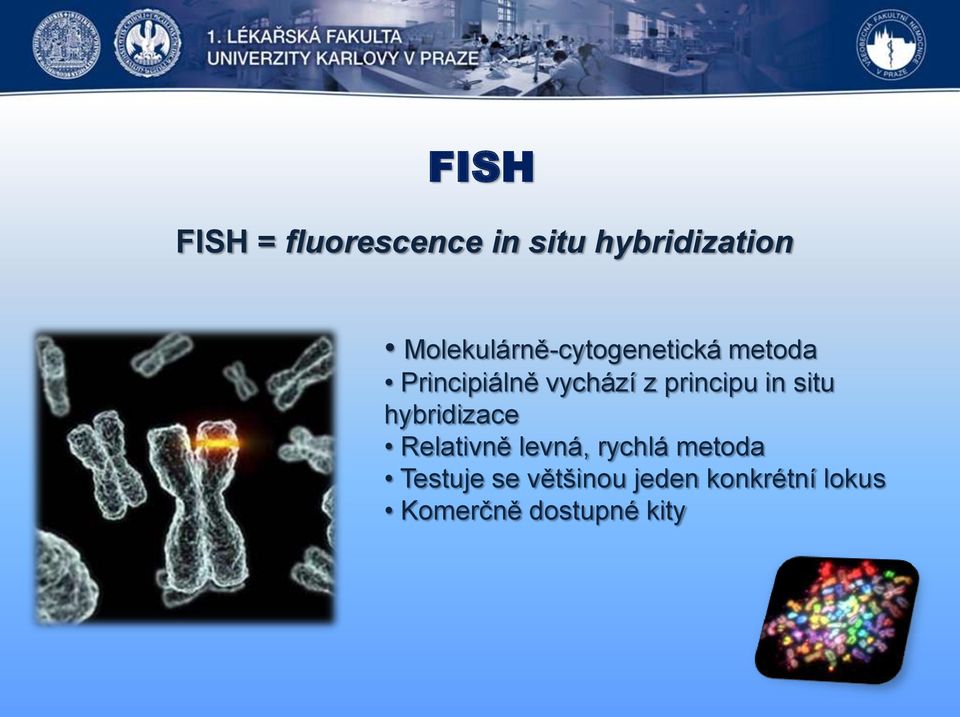 principu in situ hybridizace Relativně levná, rychlá