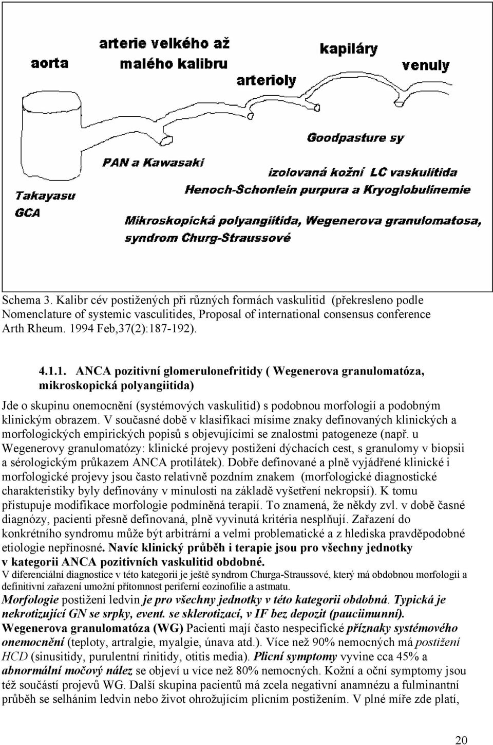 V současné době v klasifikaci mísíme znaky definovaných klinických a morfologických empirických popisů s objevujícími se znalostmi patogeneze (např.