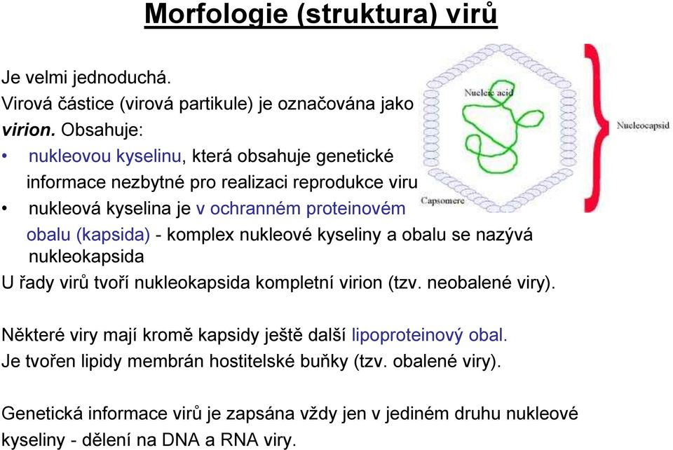 (kapsida) - komplex nukleové kyseliny a obalu se nazývá nukleokapsida U řady virů tvoří nukleokapsida kompletní virion (tzv. neobalené viry).