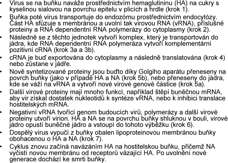 Část HA sfůzuje s membránou a uvolní tak virovou RNA (vrna), příslušné proteiny a RNA dependentní RNA polymerázy do cytoplasmy (krok 2).