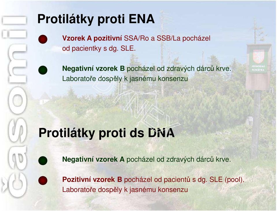 Laboratoře dospěly k jasnému konsenzu Protilátky proti ds DNA Negativní vzorek A