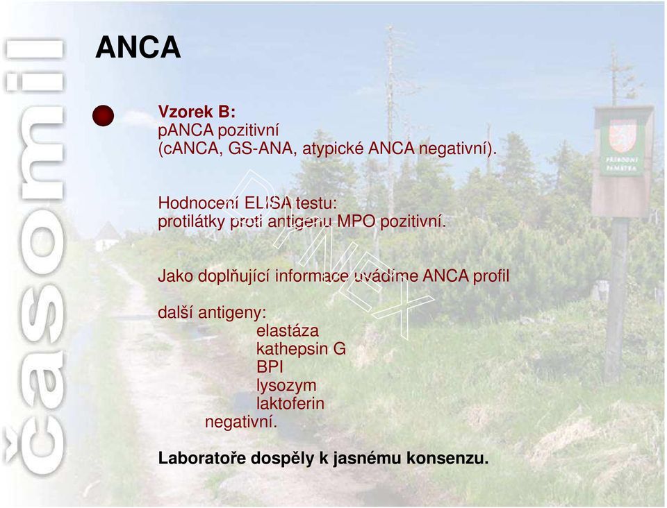 Jako doplňující informace uvádíme ANCA profil další antigeny: elastáza