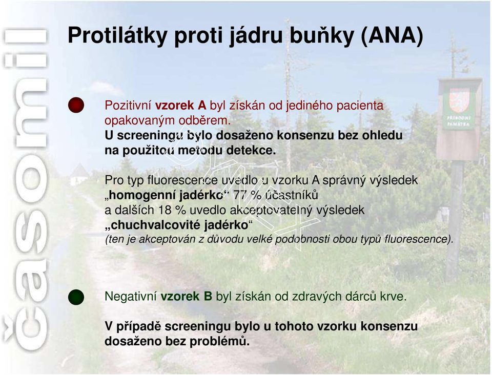 Pro typ fluorescence uvedlo u vzorku A správný výsledek homogenní jadérko 77 % účastníků a dalších 18 % uvedlo akceptovatelný