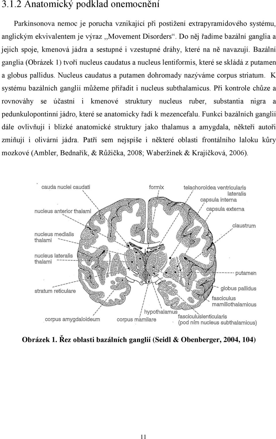 Bazální ganglia (Obrázek 1) tvoří nucleus caudatus a nucleus lentiformis, které se skládá z putamen a globus pallidus. Nucleus caudatus a putamen dohromady nazýváme corpus striatum.