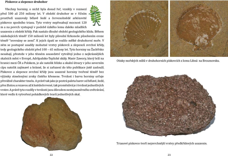 Tyto vrstvy nepřesahují mocnost 120 m a na povrch vystupují v podobě úzkého lemu daleko mladších usazenin z období křídy. Pak nastalo dlouhé období geologického klidu.