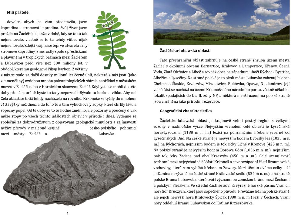 Zdejší krajina se teprve utvářela a my stromové kapradiny jsme rostly spolu s přesličkami a plavuněmi v tropických bažinách mezi Žacléřem a Lubawkou před více než 300 miliony let, v období, kterému
