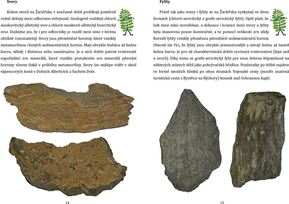 Svory jsou přeměněné horniny, které vznikly metamorfózou různých sedimentárních hornin. Mají obvykle hnědou až šedou barvu, někdy i žlutavou nebo nazelenalou.