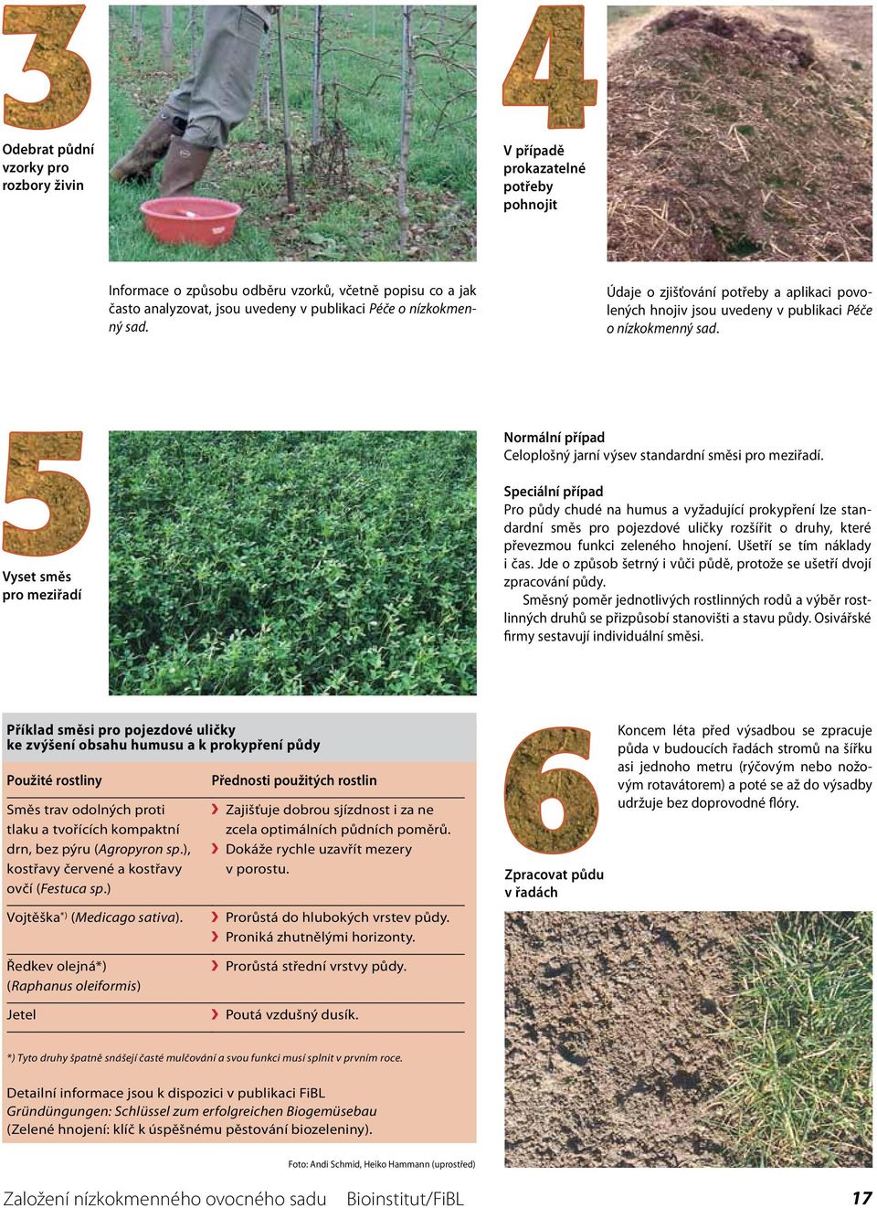 Vyset směs pro meziřadí Speciální případ Pro půdy chudé na humus a vyžadující prokypření lze standardní směs pro pojezdové uličky rozšířit o druhy, které převezmou funkci zeleného hnojení.