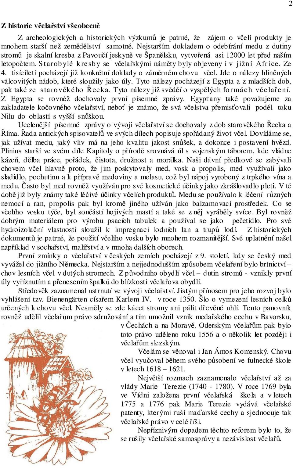 S tarob ylé kresb y se včelařskými náměty byly objeveny i v jižn í Afr ice. Ze 4. tisíciletí pocházejí již konkrétní doklady o záměrném chovu včel.