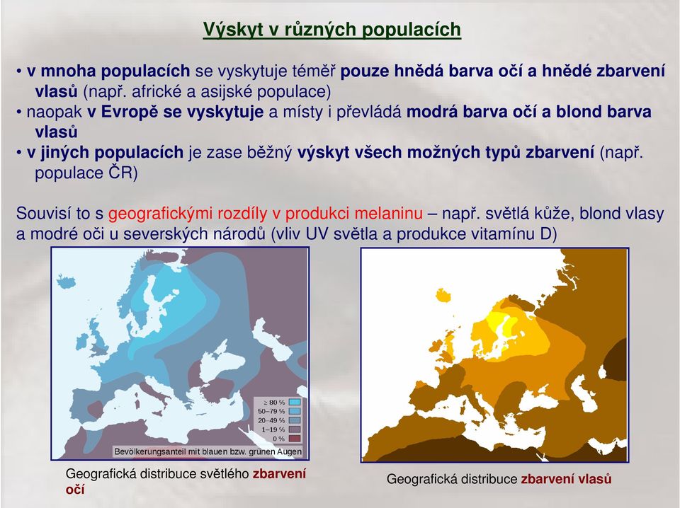 běžný výskyt všech možných typů zbarvení (např. populace ČR) Souvisí to s geografickými rozdíly v produkci melaninu např.