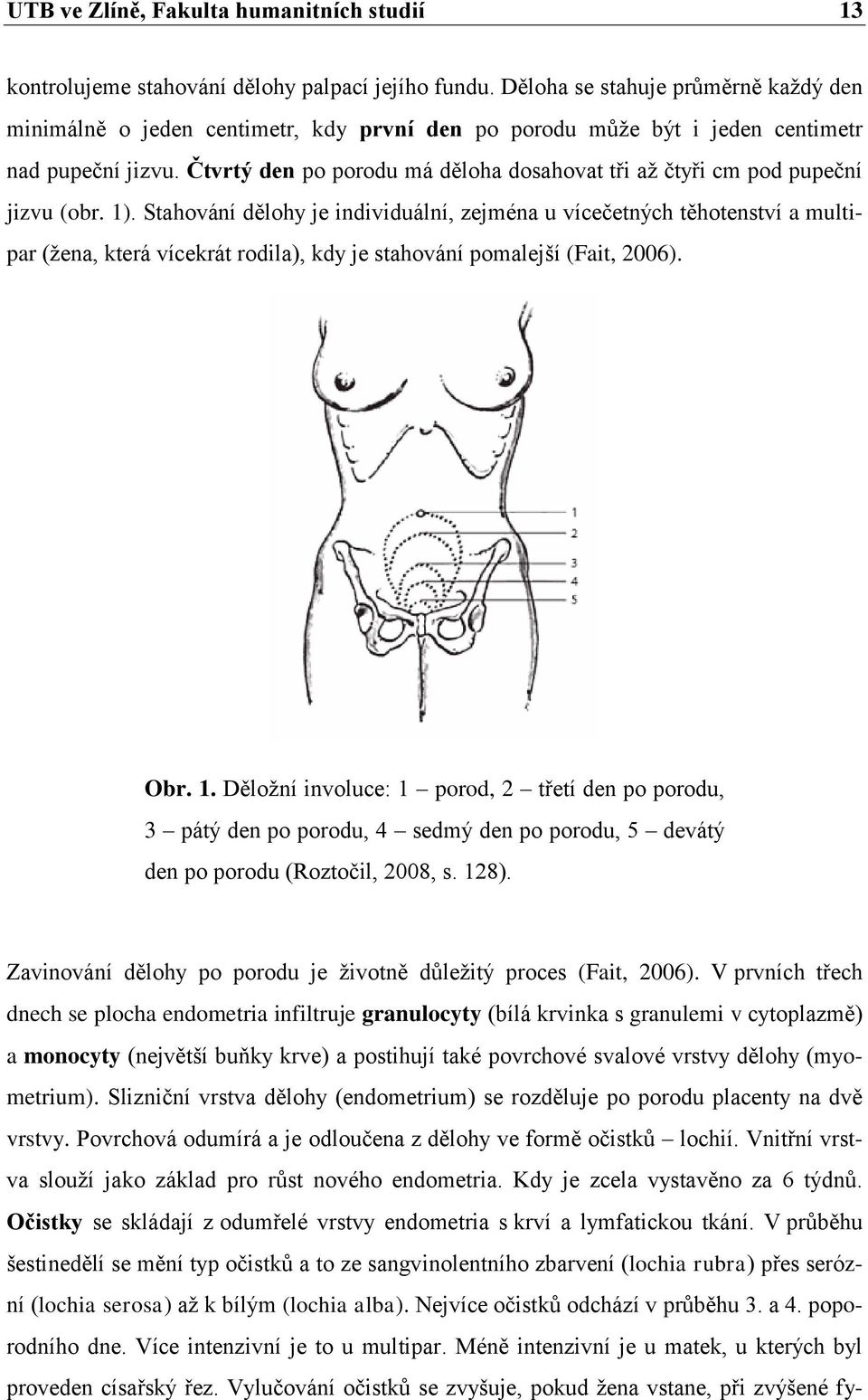 Čtvrtý den po porodu má děloha dosahovat tři až čtyři cm pod pupeční jizvu (obr. 1).