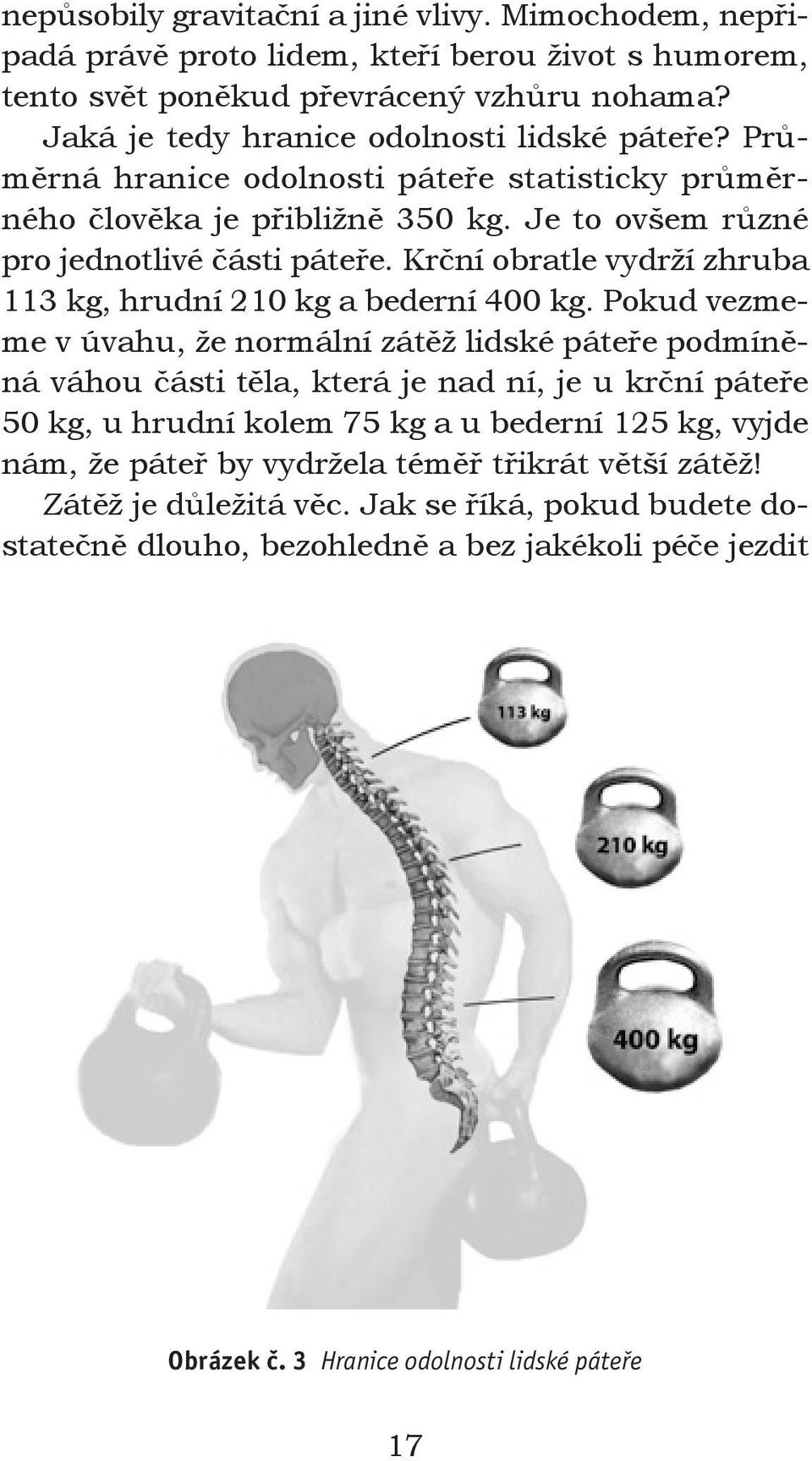 Krční obratle vydrží zhruba 113 kg, hrudní 210 kg a bederní 400 kg.