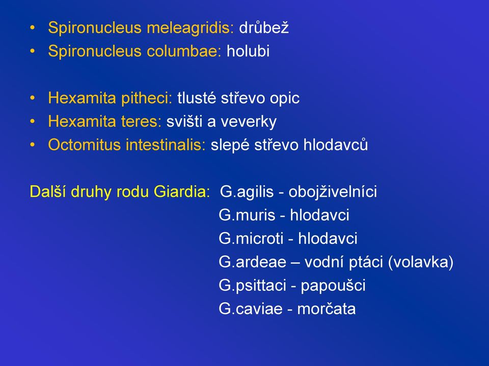 střevo hlodavců Další druhy rodu Giardia: G.agilis - obojživelníci G.