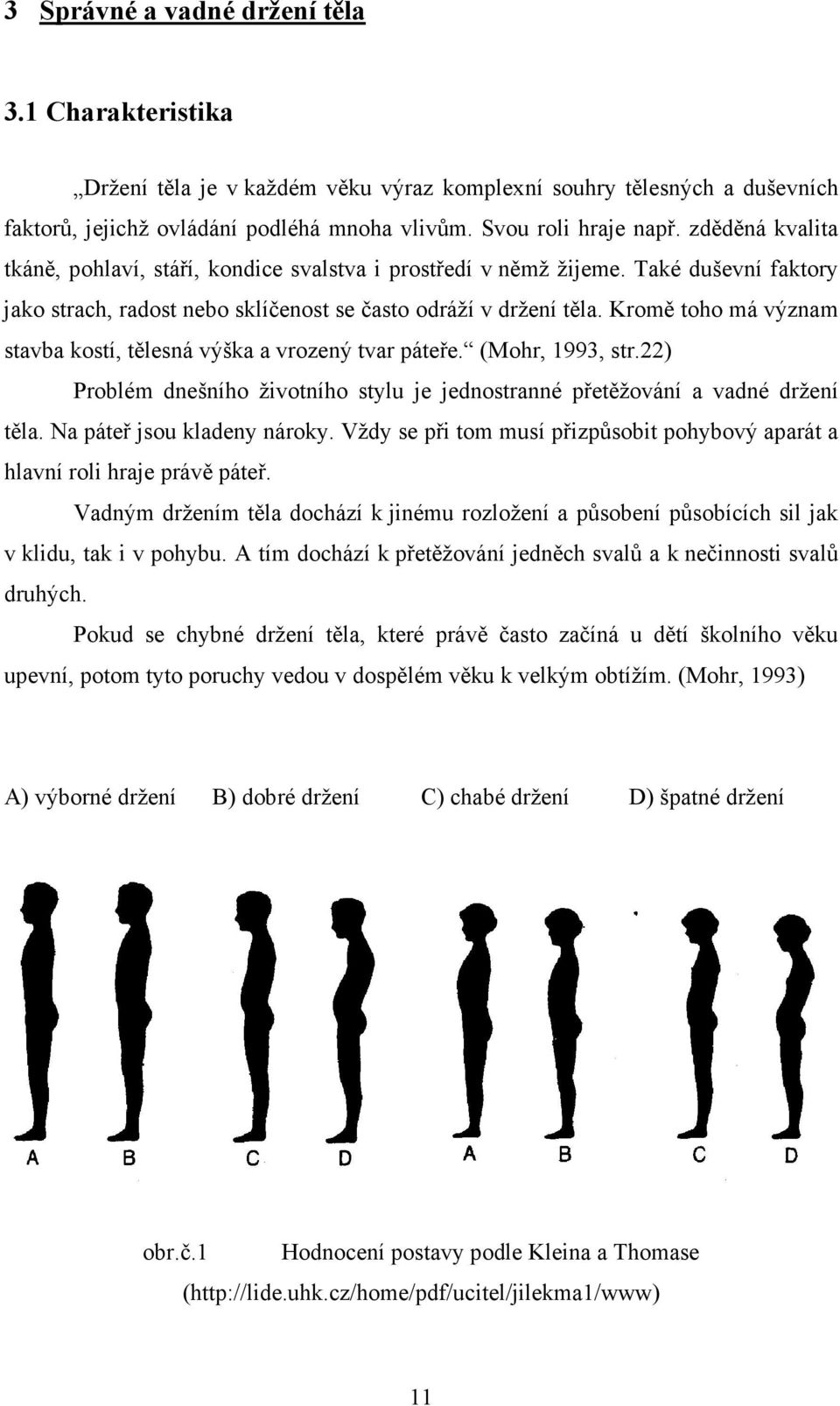 Kromě toho má význam stavba kostí, tělesná výška a vrozený tvar páteře. (Mohr, 1993, str.22) Problém dnešního životního stylu je jednostranné přetěžování a vadné držení těla.