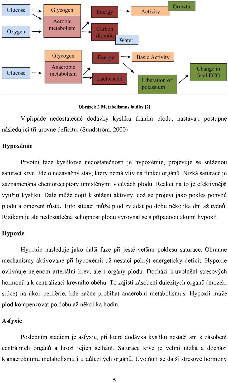 Nízká saturace je zaznamenána chemoreceptory umístěnými v cévách plodu. Reakcí na to je efektivnější využití kyslíku.