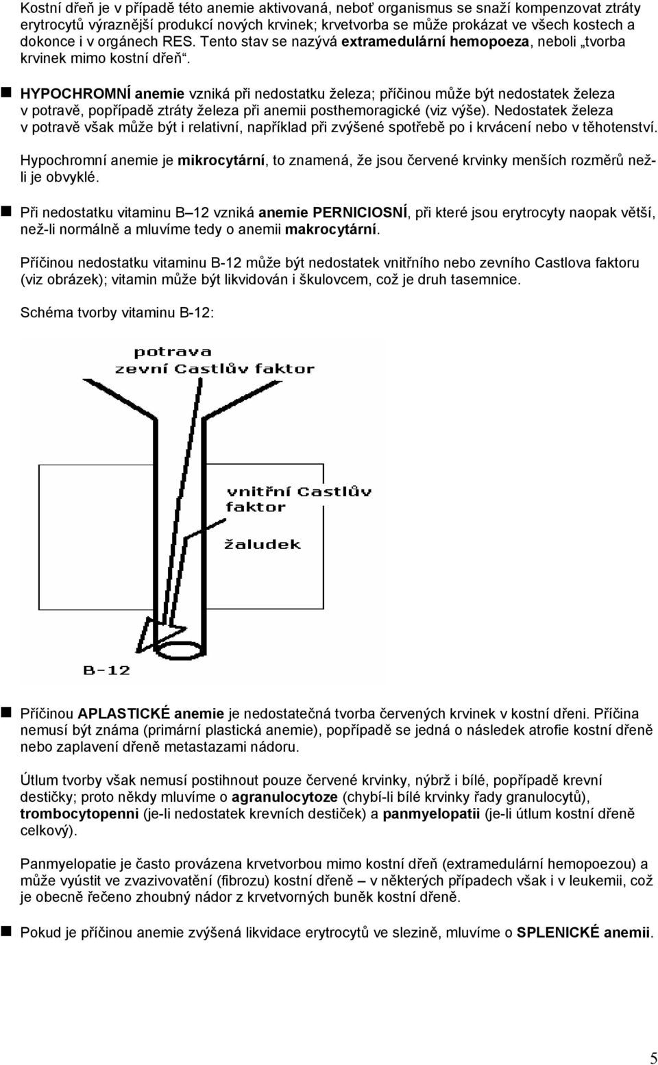 HYPOCHROMNÍ anemie vzniká při nedostatku železa; příčinou může být nedostatek železa v potravě, popřípadě ztráty železa při anemii posthemoragické (viz výše).