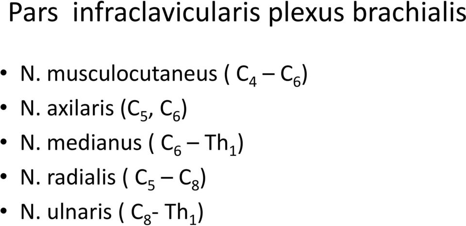 axilaris (C 5, C 6 ) N.