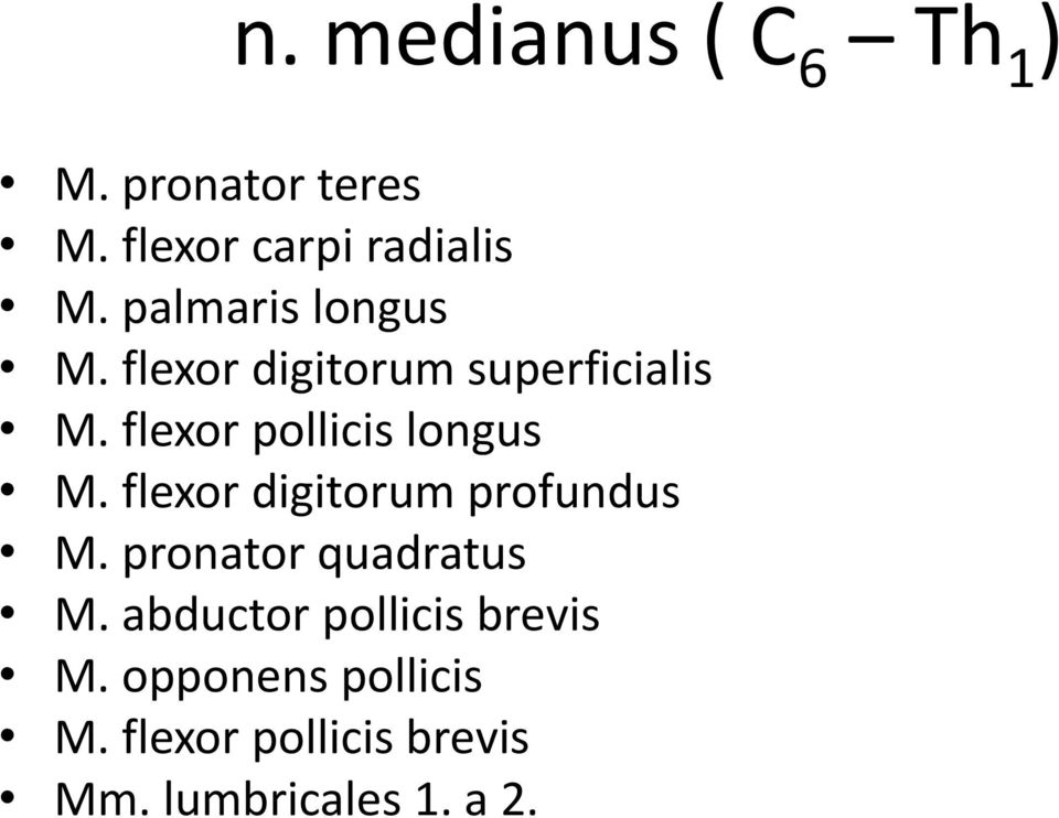 flexor pollicis longus M. flexor digitorum profundus M.