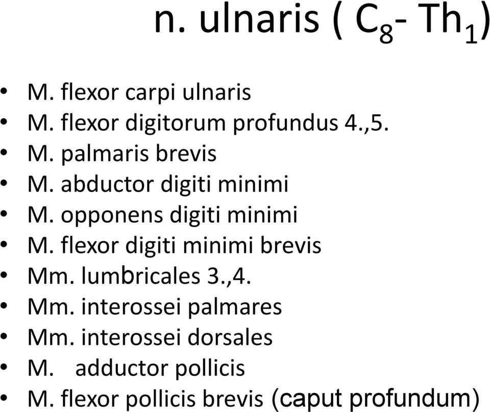 opponens digiti minimi M. flexor digiti minimi brevis Mm. lumbricales 3.,4. Mm. interossei palmares Mm.