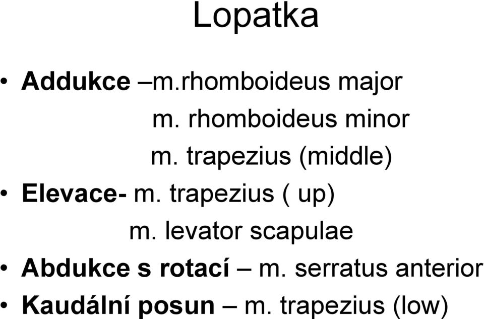 trapezius (middle) Elevace- m. trapezius ( up) m.