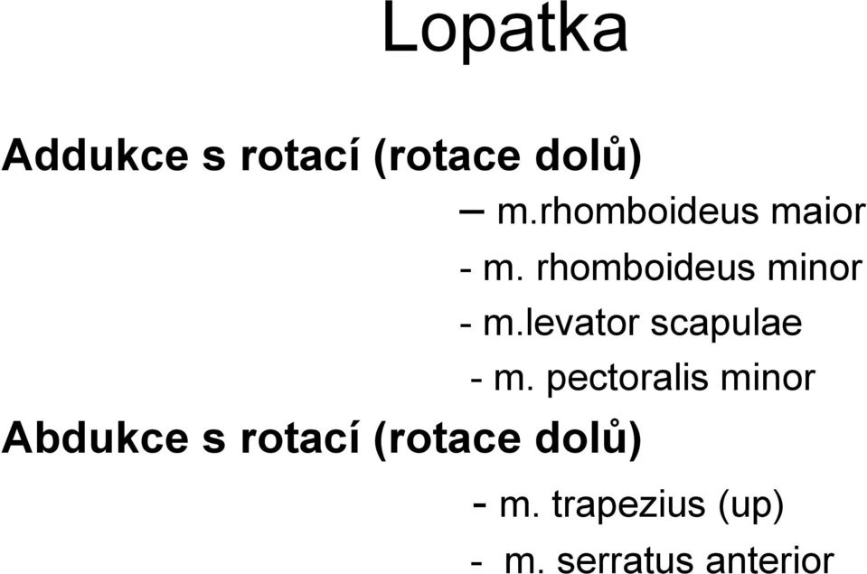 levator scapulae Abdukce s rotací (rotace dolů) -