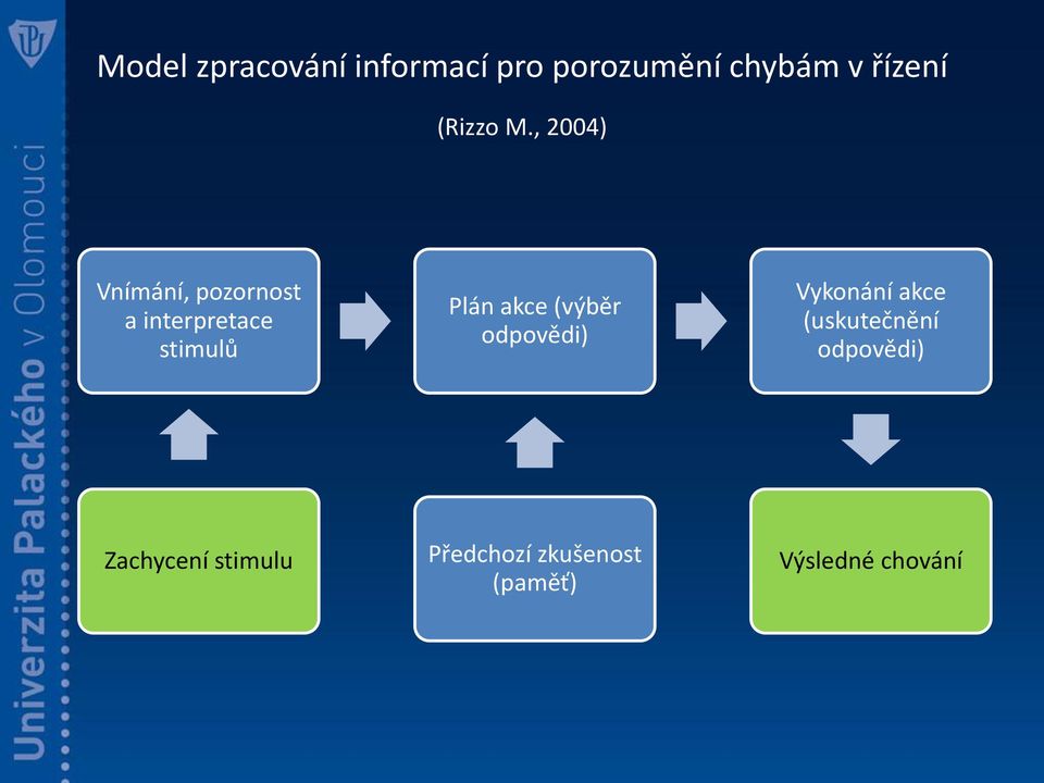 , 2004) Vnímání, pozornost a interpretace stimulů Plán akce