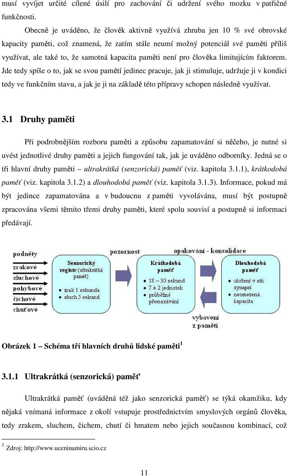 kapacita paměti není pro člověka limitujícím faktorem.