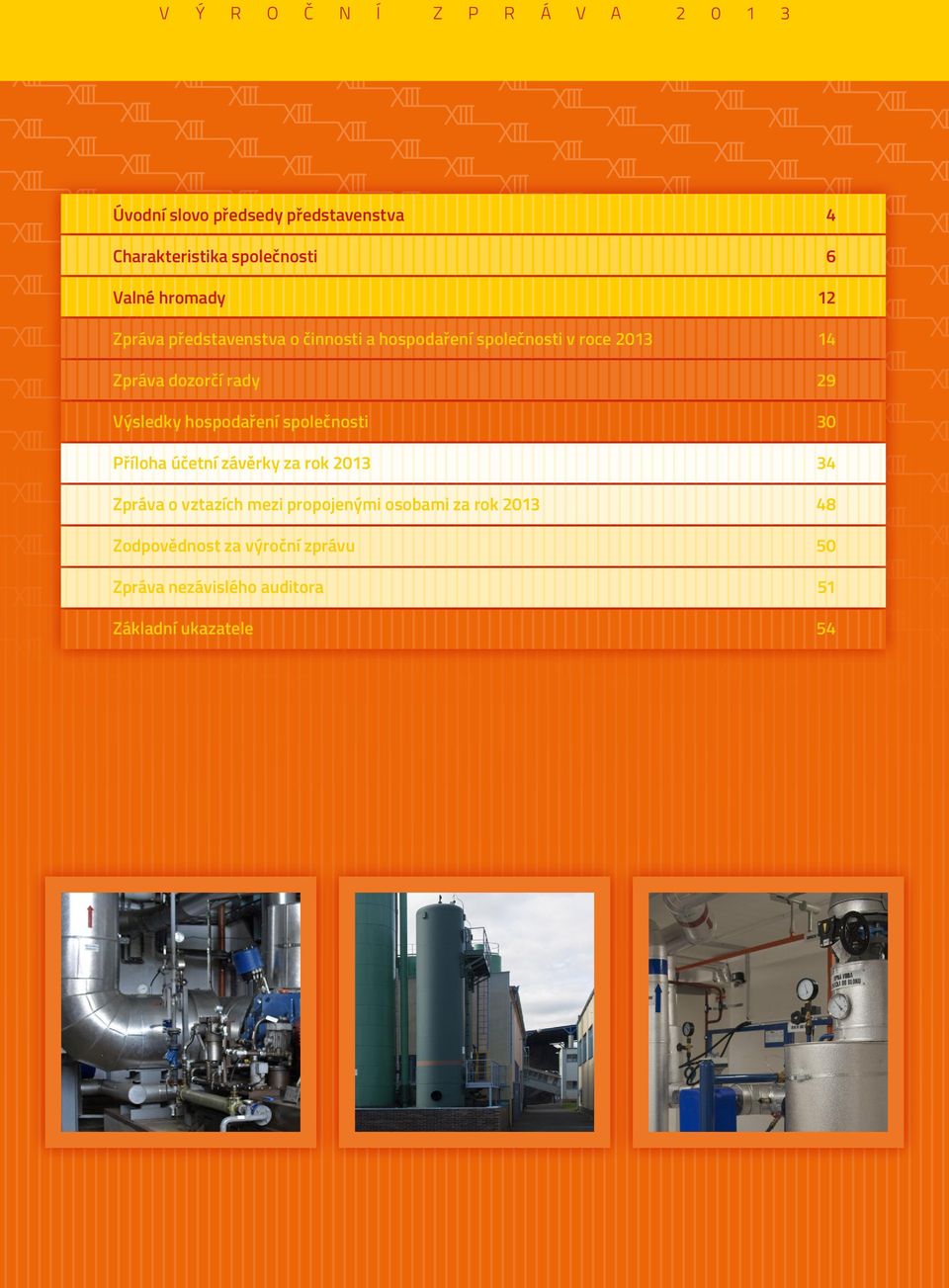 Výsledky hospodaření společnosti 30 Příloha účetní závěrky za rok 2013 34 Zpráva o vztazích mezi propojenými