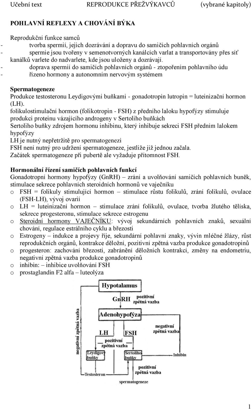 - doprava spermií do samičích pohlavních orgánů - ztopořením pohlavního údu - řízeno hormony a autonomním nervovým systémem Spermatogeneze Produkce testosteronu Leydigovými buňkami - gonadotropin