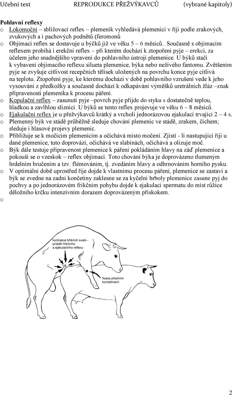 U býků stačí k vybavení objímacího reflexu silueta plemenice, býka nebo neživého fantomu. Zvětšením pyje se zvyšuje citlivost recepčních tělísek uložených na povrchu konce pyje citlivá na teplotu.