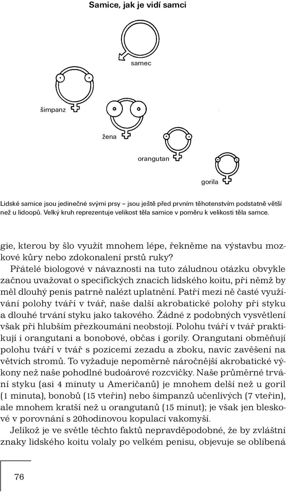 Přátelé biologové v návaznosti na tuto záludnou otázku obvykle začnou uvažovat o specifických znacích lidského koitu, při němž by měl dlouhý penis patrně nalézt uplatnění.