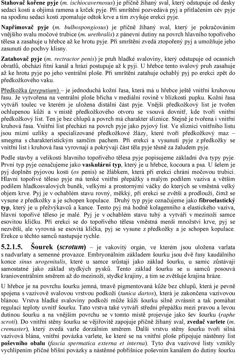 bulbospongiosus) je příčně žíhaný sval, který je pokračováním vnějšího svalu močové trubice (m. urethralis) z pánevní dutiny na povrch hlavního topořivého tělesa a zasahuje u hřebce až ke hrotu pyje.